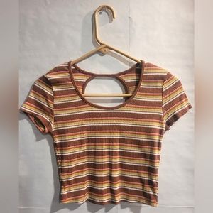 Striped Brown and Green Cropped Baby Tee